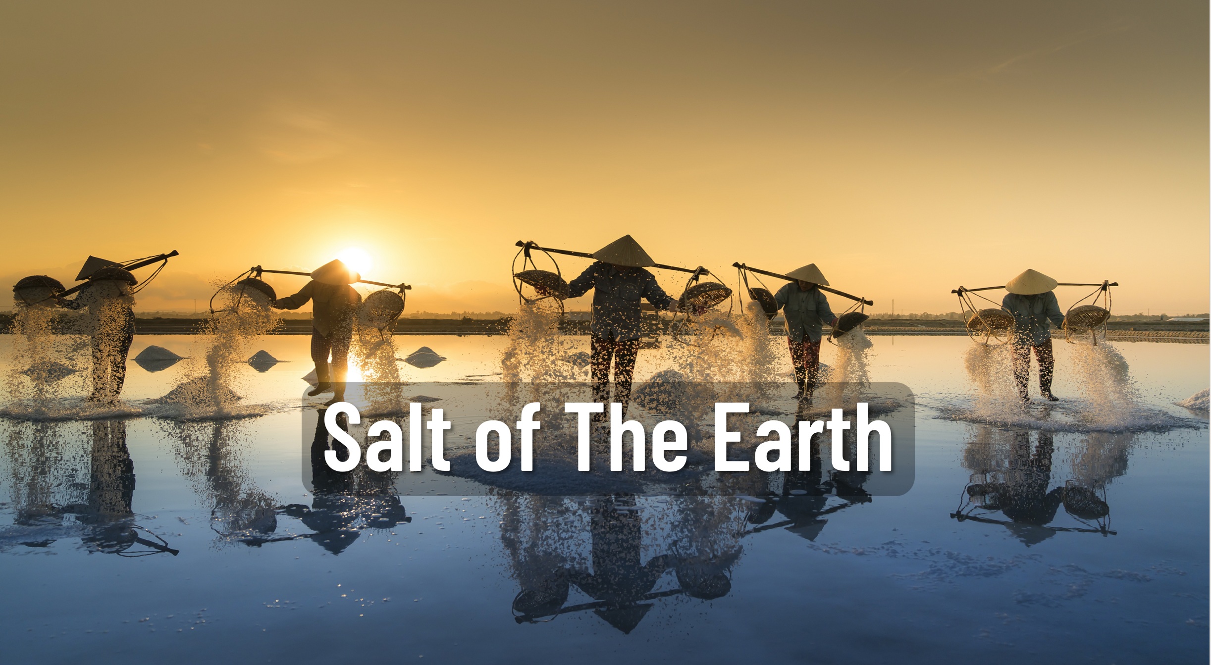 SALT OF THE EARH-BG 1 SALT OF THE EARH-BG 1